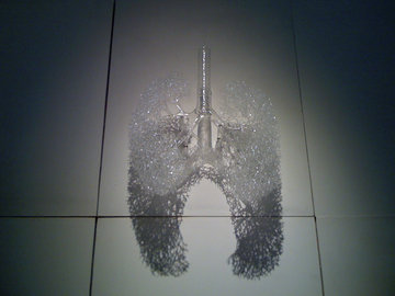 Профессор Бережанский: пневмонией можно заболеть летом