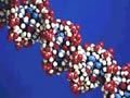 Молекулярная медицина: зачем копаться в наших ДНК