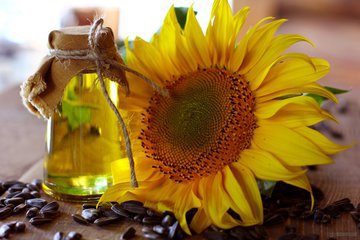 Врачи Продеус и Малышева развеяли мифы о ГМО
