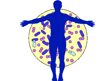 Хочешь быть здоровой - дружи с микрофлорой