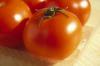 Кулинарные рецепты: Блюда из томатов