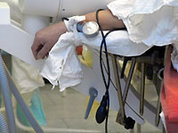 Ядовитые змеи поползли в наступление