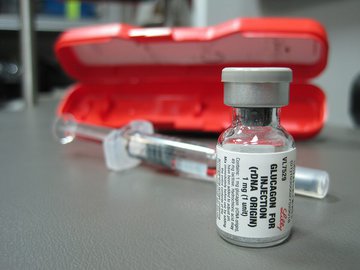 Ученые из Австралии: избыток межмышечной жировой ткани может привести к диабету