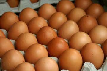 Диетолог Чуракина: работу мозга улучшают рыба, грецкие орехи и яйца