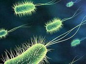 В Челябинске решали, как бороться с больничными инфекциями