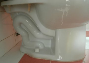 Гастроэнтеролог Браун: опорожнять кишечник нужно по утрам