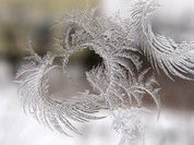 Подсчитано количество обморожений и переохлаждений