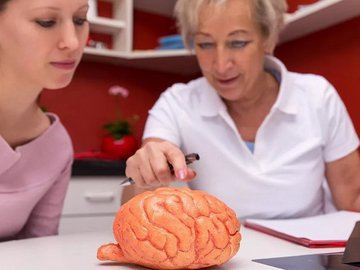 Соль может спровоцировать рассеянный склероз