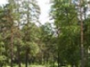 Регулярные прогулки могут спасти от слабоумия