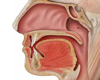 Терапевт Лавров: сухость носа грозит простудой