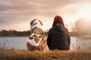 Ученые из Австрии: прогулки с собакой по утрам снижают риск развития депрессия