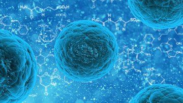 Эксперт Гужова: клетки иммунитета могут «защищать» опухоль от лекарств