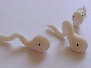 Прорыв в репродуктологии или ошибка ученых?