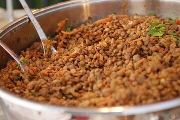 Врач Вялов: растительная еда не покрывает нужды организма