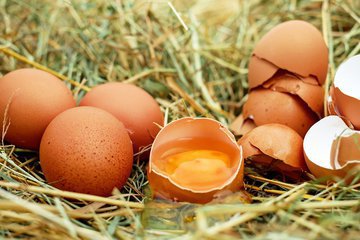 Диетолог Бородина перечислила 4 категории людей, которым стоит отказаться от яиц