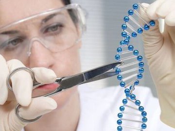 Оправдано ли редактирование генов человеческих эмбрионов?