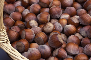 Невролог Бинг: горсть орехов перед едой защитит от инсульта и деменции