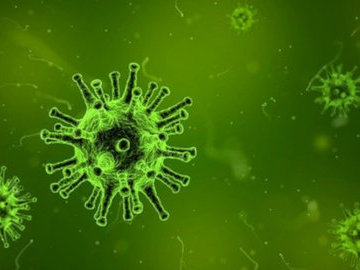 Врач рассказал, как повысить сопротивляемость организма к инфекциям