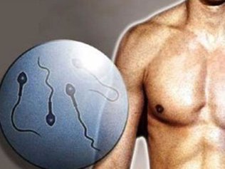 Репродуктологи: в России число пар с диагнозом бесплодие составляет от 15 до 17 %