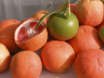 Диетолог Павлюк: лимон, апельсин и грейпфрут улучшают настроение