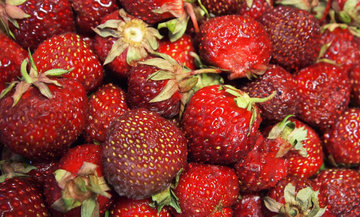Диетолог Поляков: клубника снимает отеки