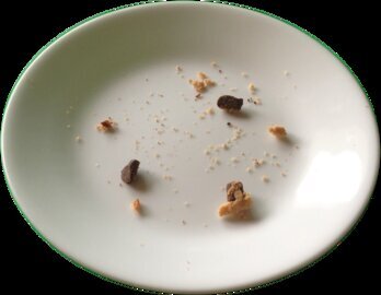 Врач Вялов: продлить жизнь помогает периодическое голодание