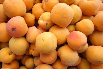 Врач Тен: абрикос способен снизить давление