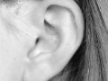 Учёные вырастили клетки чувствительных слуховых волосков