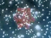 ОРВИ придут к нам …по весне?