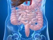 Как наладить работу кишечника