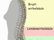 Прогулки помогают избавиться от болей в пояснице