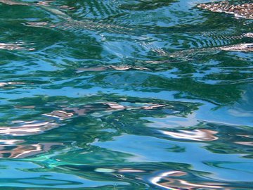 Врачи рассказали, как не заболеть после купаний в проруби