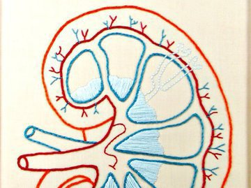 Кардиолог Саламатина заявила, что купание в проруби провоцирует развитие цистита