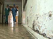 ВОЗ предостерегает - сырость в помещениях приводит к астме