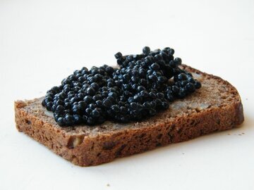 Врач Гончарова: подседельная китайская икра отличается запахом