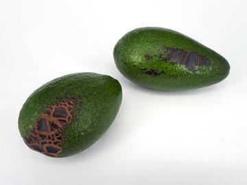 Эксперт Аби Ханна: избыток авокадо и орехов замедляют похудение