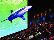 3D-формат - не для домашнего кинотеатра!