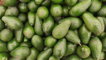 Американские ученые: употребление авокадо каждый день улучшает качество рациона