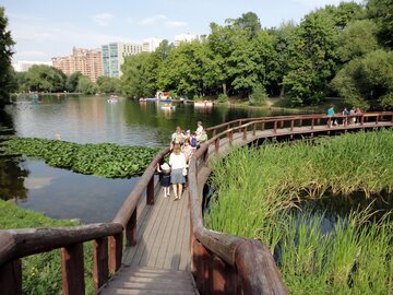 Врач Анисимов: 15-минутная прогулка снимет стресс