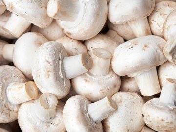 Express: Употребление грибов - путь к долголетию и здоровью