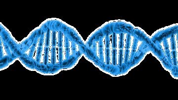 Врач Колесникова: менопауза наступит на 9 лет раньше из-за генов