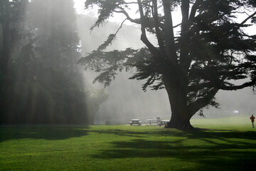 Врач Павлова: 15 минут на природе избавляет от стресса и тревоги