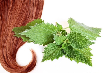 Избавляемся от перхоти народными средствами