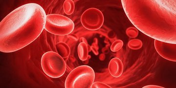 Почему возникает анемия?
