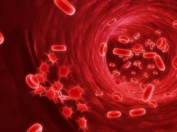 Схожие признаки лейкемии и простуды: как не перепутать