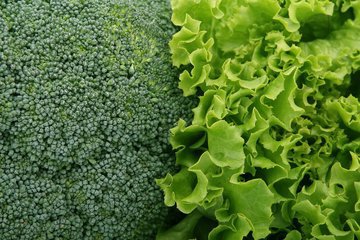Гастроэнтеролог Утюмова считает самым полезным овощем брокколи