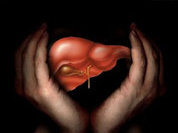 В Санкт-Петербурге состоялась VI Международная конференция "Белые ночи гепатологии 2014"