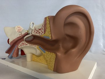 Врач Хан: потеря слуха приводит к деменции