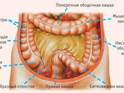 Рак прямой и толстой кишки: растет количество больных