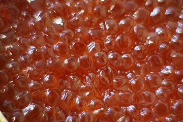 Педиатр Моисеев: икру детям можно давать с 5 лет